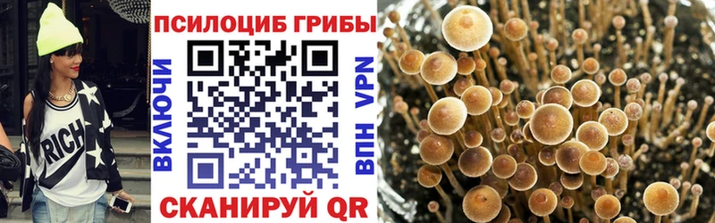 Купить  Назрань  Псилоцибиновые грибы мицелий 